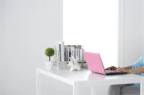 法律事务都学什么