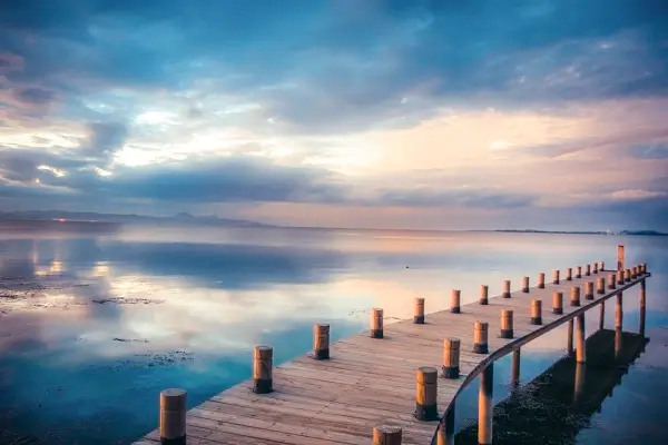 法律专业听什么课好